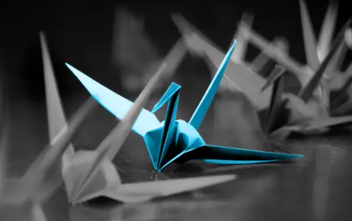 Download unique paper airplane tutorials via Telegram Chinese version today online