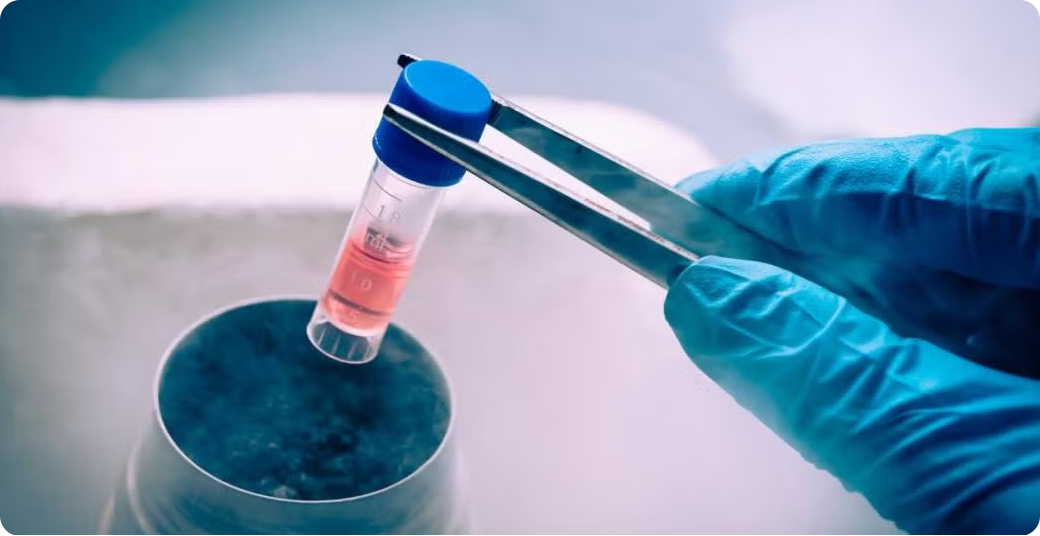 Fertility Preservation in Focus: How the Best IVF Centre in Noida Approaches egg freezing cost in noida