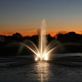 Top Pond Lighting Trends for 2026: From Subtle Glow to Dynamic Color Effects